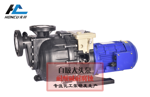 zixipump02.jpg 耐腐蝕大頭泵